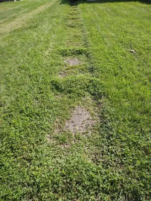 Good help Property maintenance