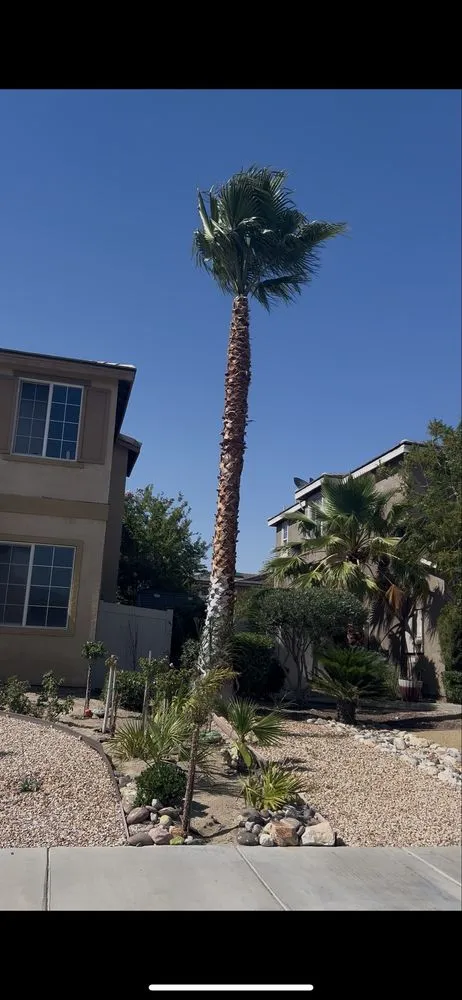 Expert garden landscaping near you across Mission Hills, CA - Good Land Tree Service