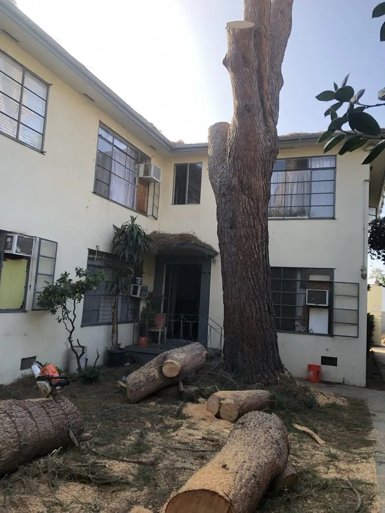 Local lawn mowing service experts serving Mission Hills, CA - Good Land Tree Service