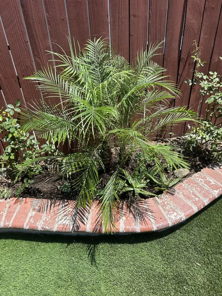 Expert garden landscaping near you in Mission Hills, CA by Good Land Tree Service