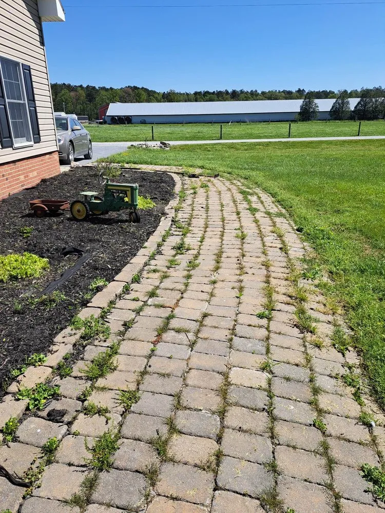 Custom landscaping services experts serving Pocomoke City, MD - Good lawn care Landscaping