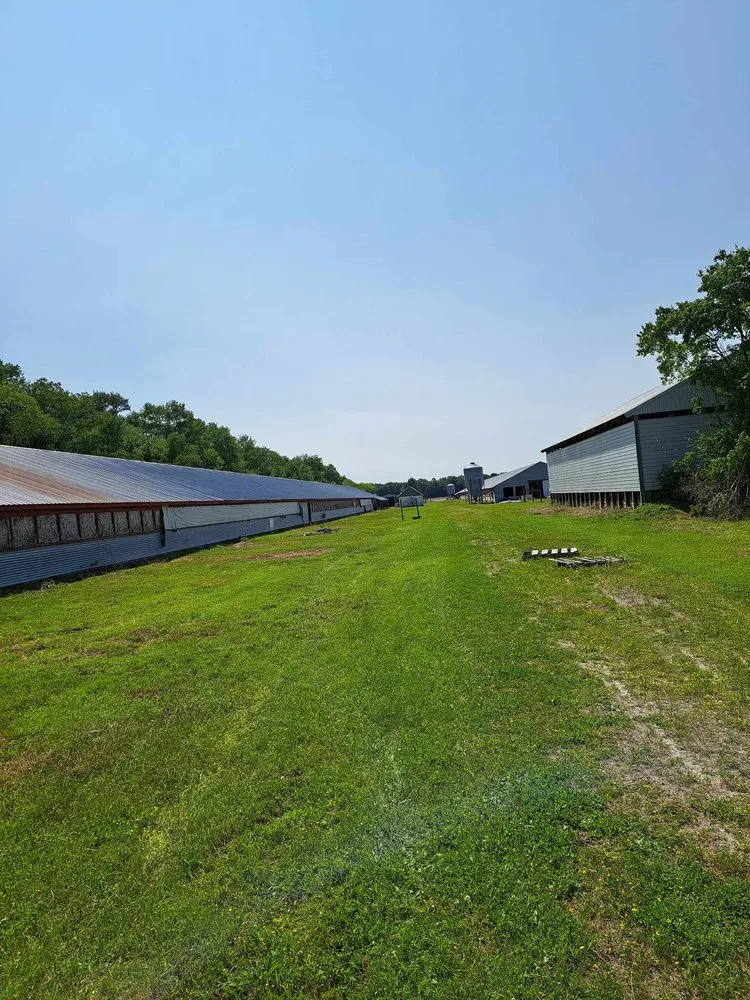 Custom lawn care service experts serving Pocomoke City, MD - Good lawn care Landscaping