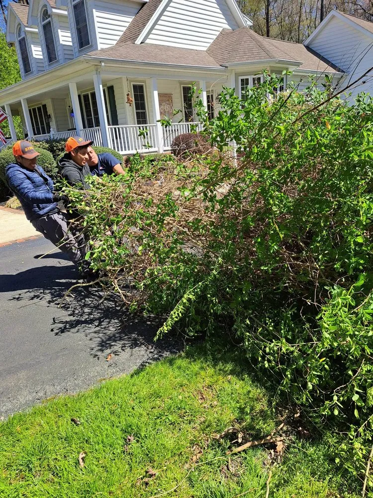 Expert landscape design near you in Pocomoke City, MD by Good lawn care Landscaping