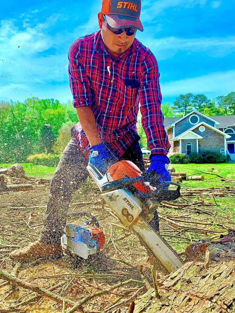 Local lawn care service for year-round maintenance across Pocomoke City, MD - Good lawn care Landscaping