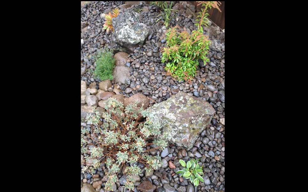 Professional landscape installation in Bend, OR - Good Life Landscaping