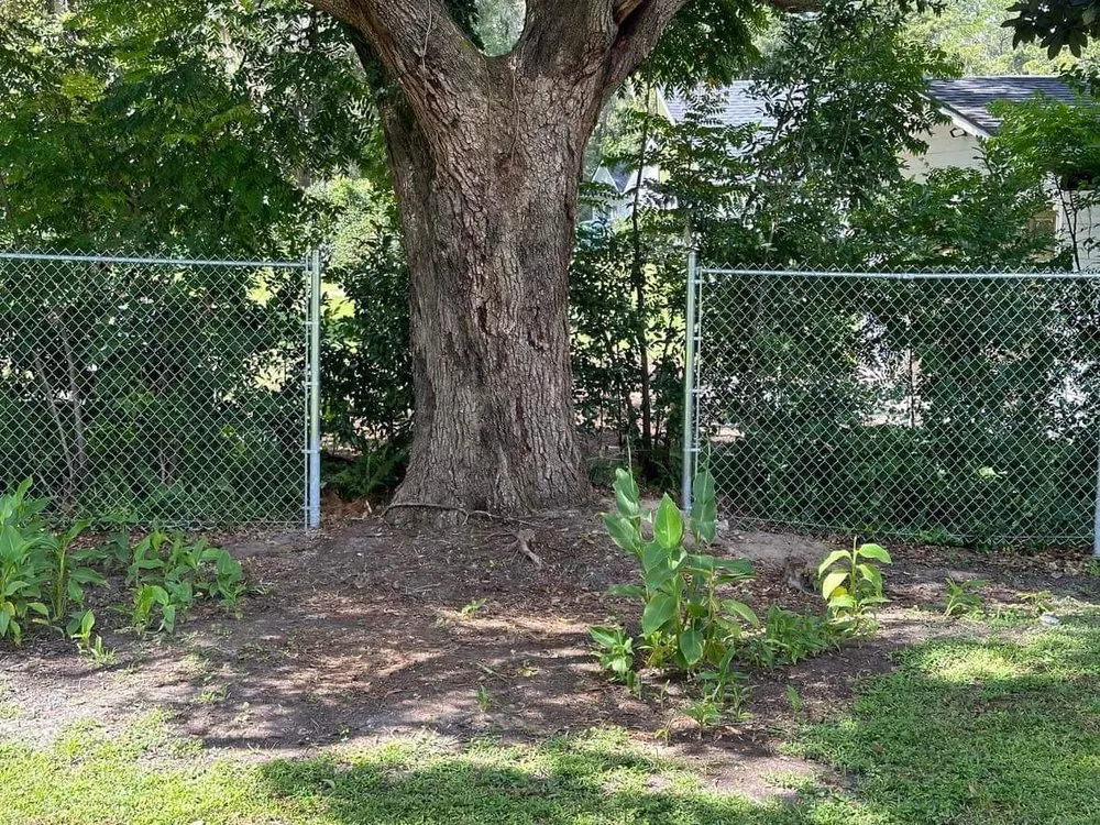 Reliable landscape installation for year-round maintenance across Crawfordville, FL - Good Lookin Fences & More