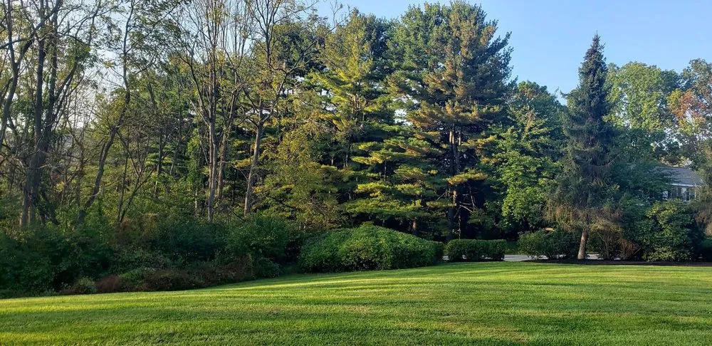 Reliable residential landscaping in Boyertown, PA by Good Lords Landscaping