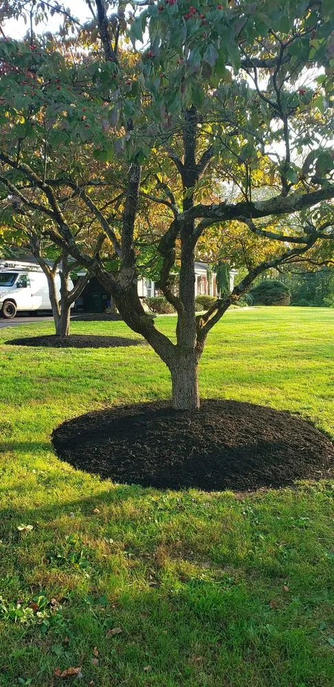 Reliable lawn care service in Boyertown, PA - Good Lords Landscaping