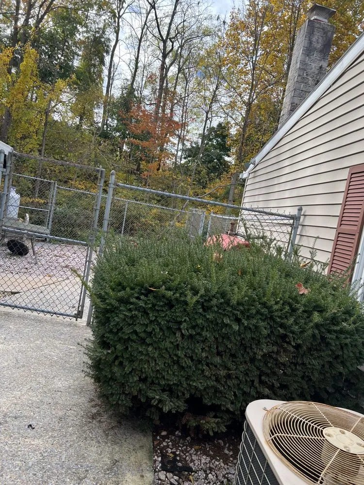 Professional landscape installation with custom design across Boyertown, PA - Good Lords Landscaping