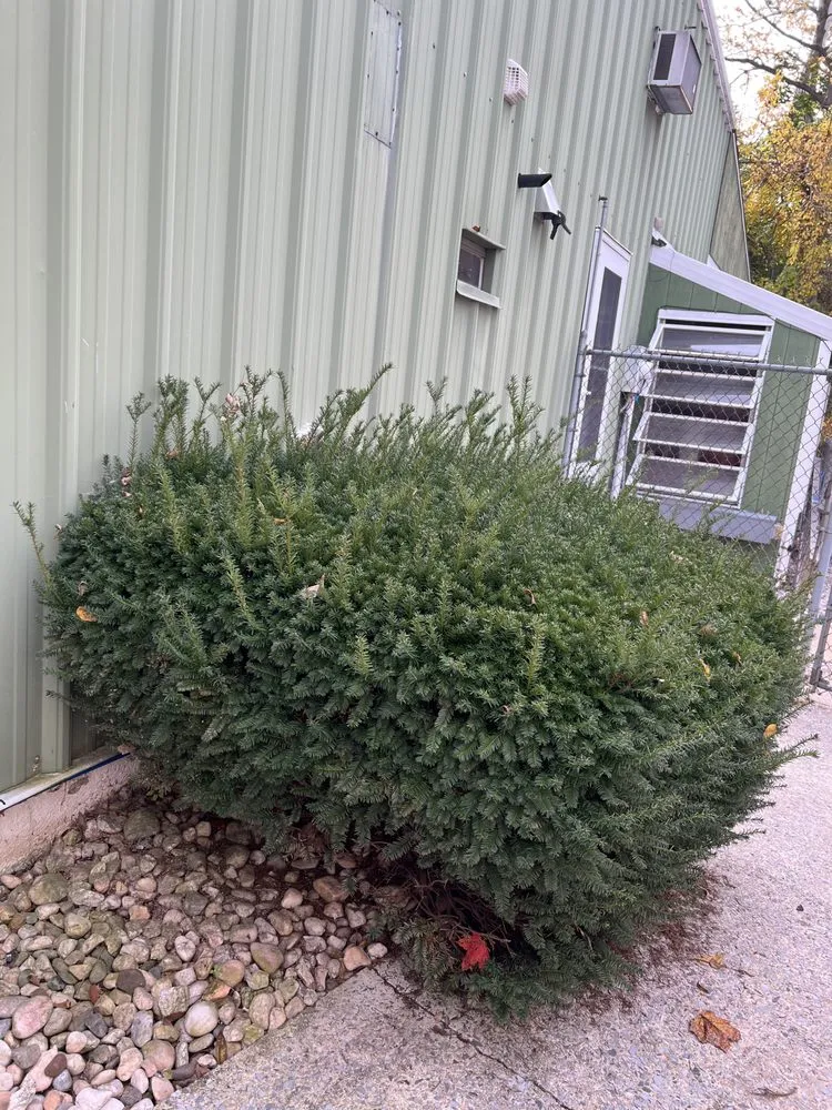 Reliable outdoor landscaping in Boyertown, PA - Good Lords Landscaping