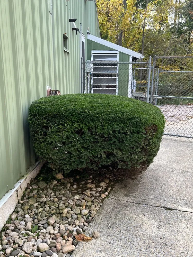 Affordable lawn care service in Boyertown, PA by Good Lords Landscaping