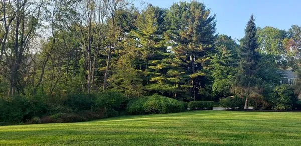 Good Lords Landscaping