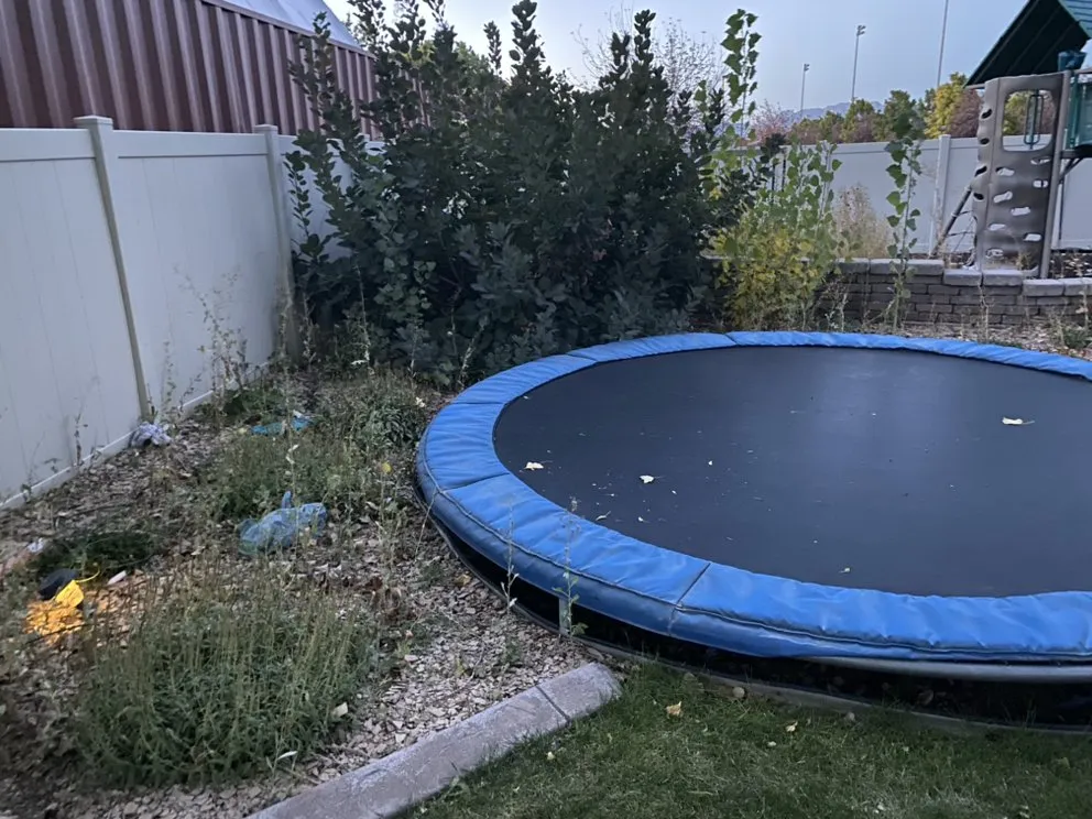 Custom yard cleanup service for year-round maintenance across Santaquin, UT - Good Morning Lawn Care