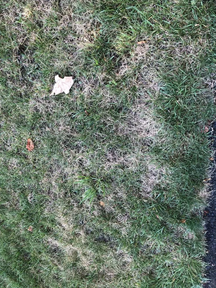 Top-rated garden landscaping for year-round maintenance in Howell, NJ by Good Mowin