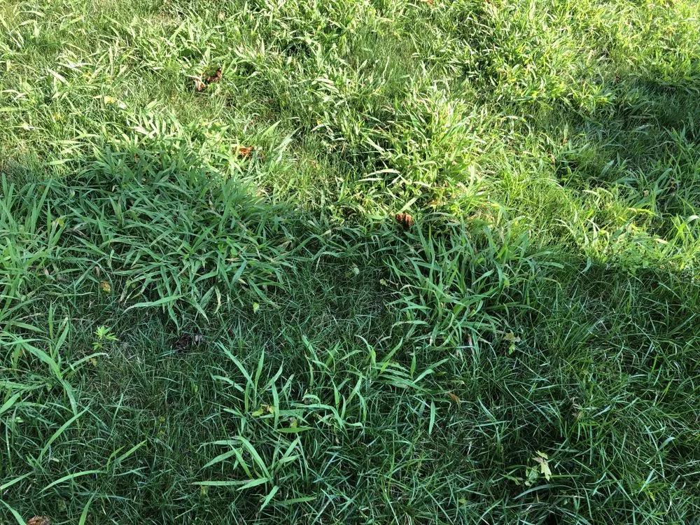 Custom outdoor landscaping in Howell, NJ by Good Mowin