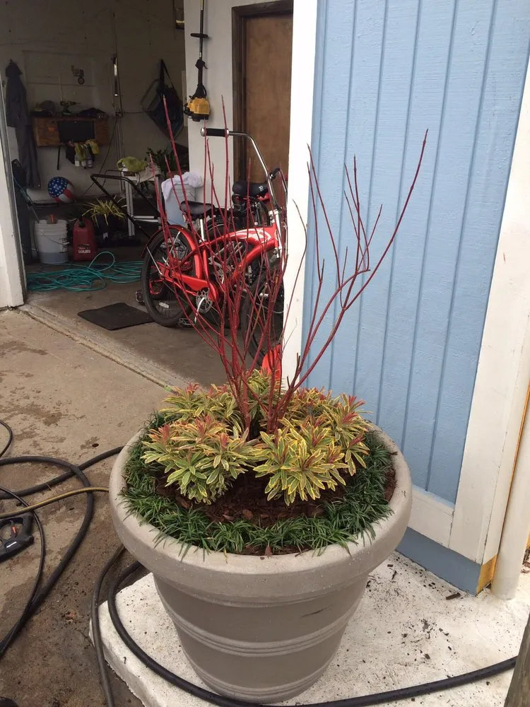 Custom lawn care service experts serving Chesapeake, VA - Good N' Green