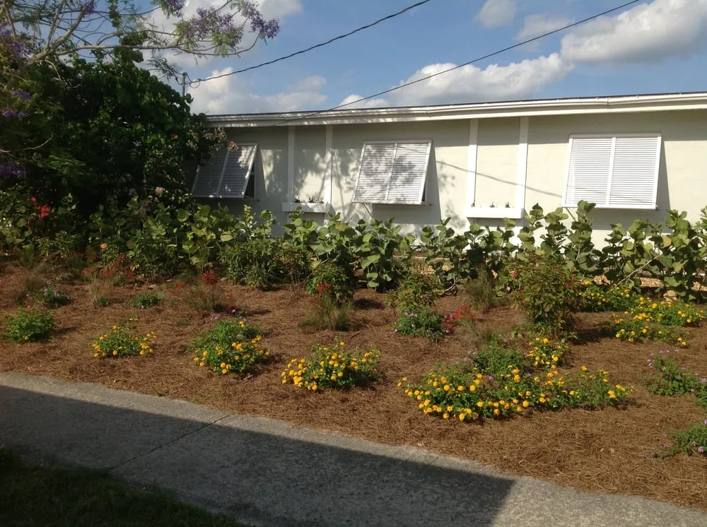 Custom landscape installation in Murdock, FL - Good N Green