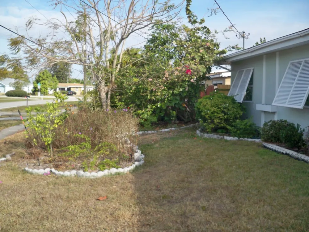 Affordable yard maintenance experts serving Murdock, FL - Good N Green