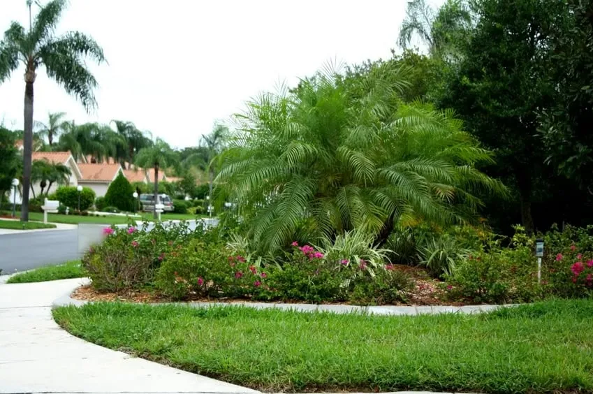 Custom outdoor landscaping in Murdock, FL by Good N Green