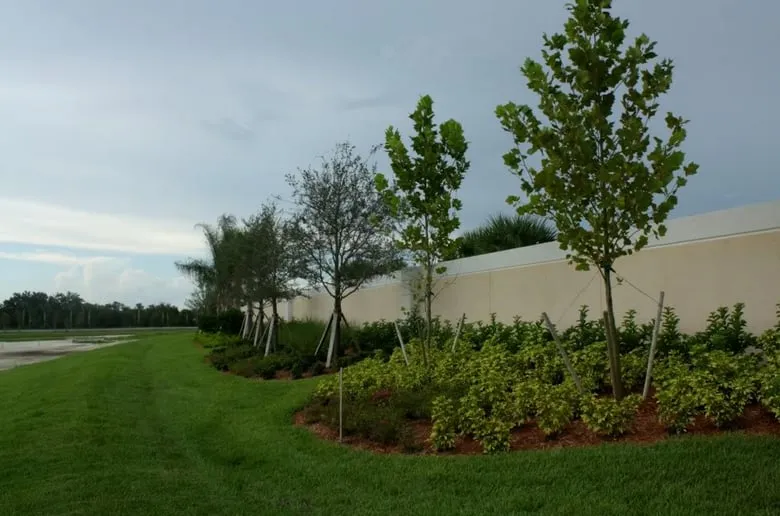 Local lawn mowing service experts serving Murdock, FL - Good N Green
