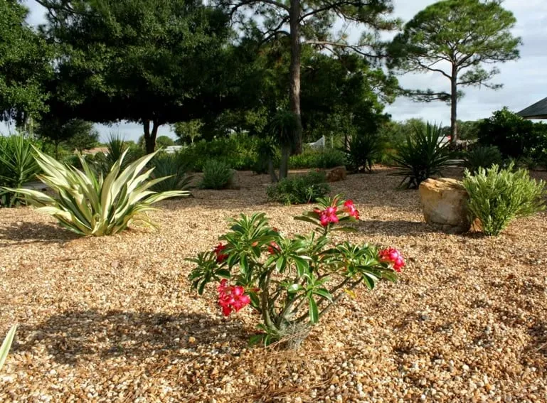 Reliable outdoor landscaping near you across Murdock, FL - Good N Green