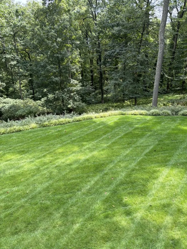 Custom outdoor landscaping for outdoor upgrades across Westminster, MD - Good Nature Landscape Services