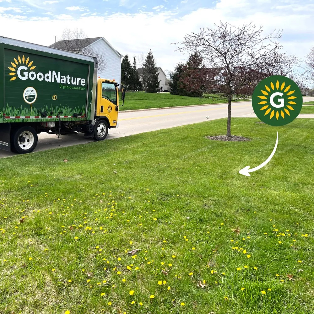 Expert garden landscaping for beautiful yards in Canton, MI by Good Nature Organic Lawn Care - Detroit