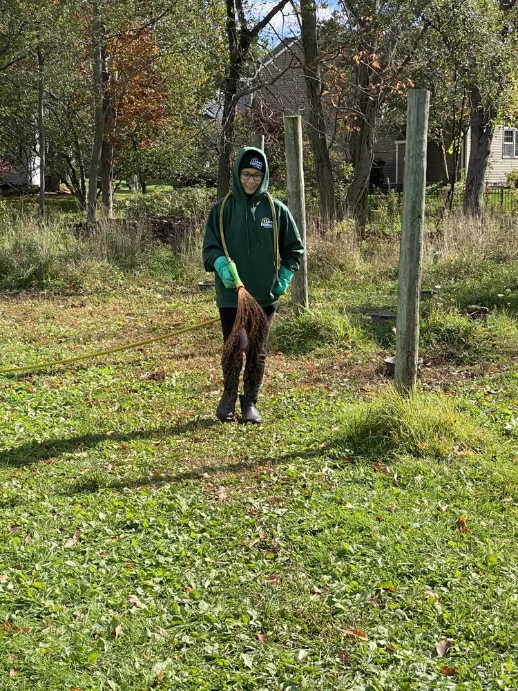 Affordable landscape design in Canton, MI by Good Nature Organic Lawn Care - Detroit