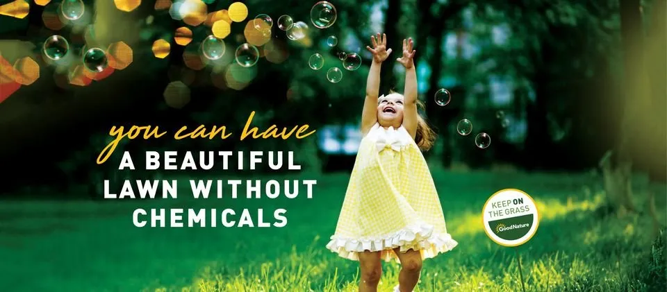 Reliable yard maintenance experts serving Indianapolis, IN - Good Nature Organic Lawn Care - Indianapolis