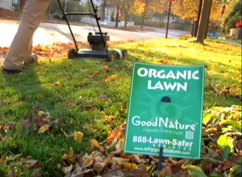 Professional landscape installation in Grove City, OH by Good Nature Organic Lawn Care