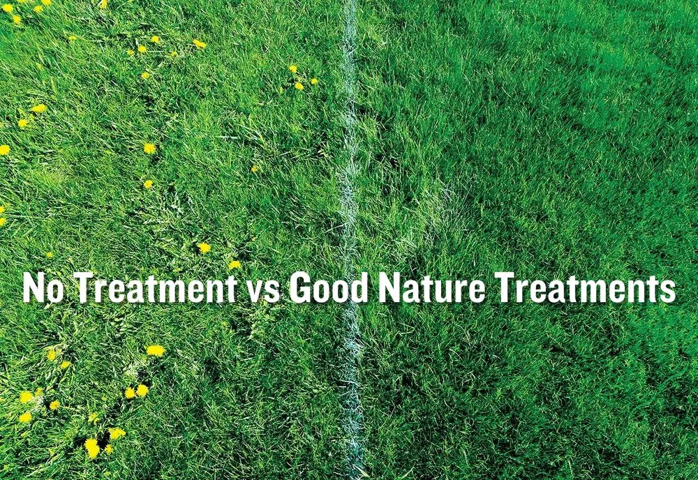 Trusted lawn care service experts serving Lombard, IL - Good Nature Organic Lawn Care
