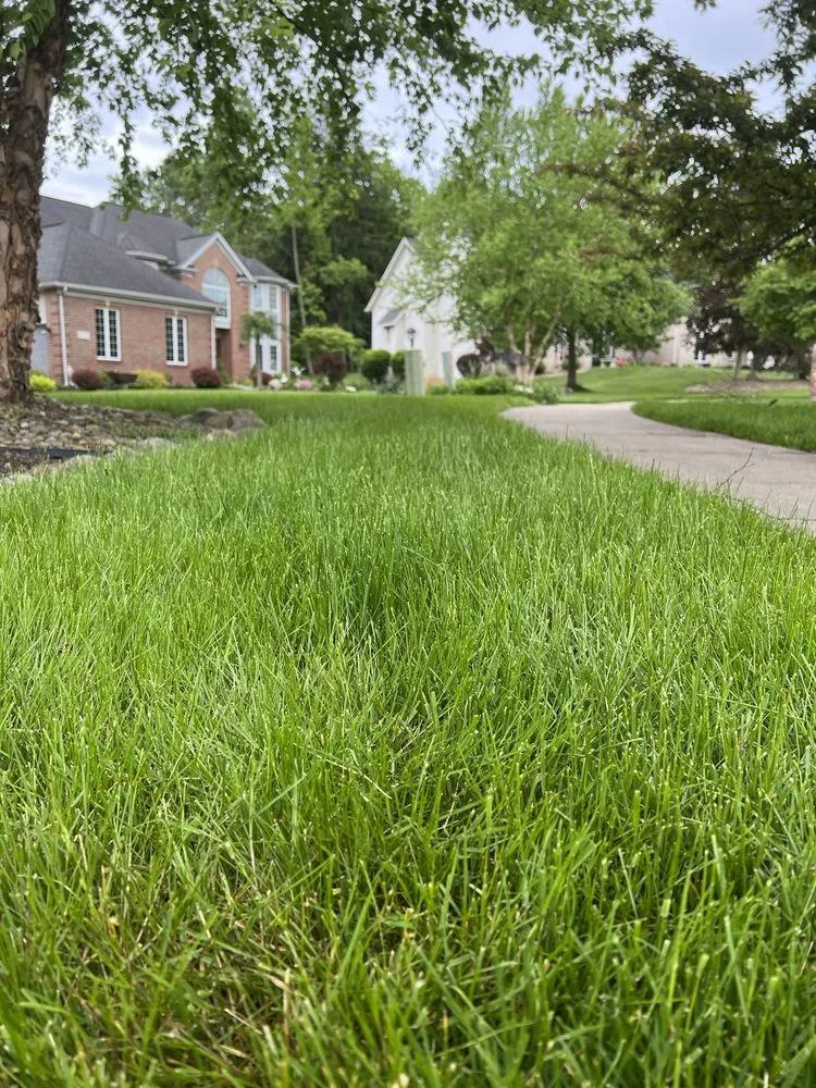 Local residential landscaping in Lombard, IL - Good Nature Organic Lawn Care