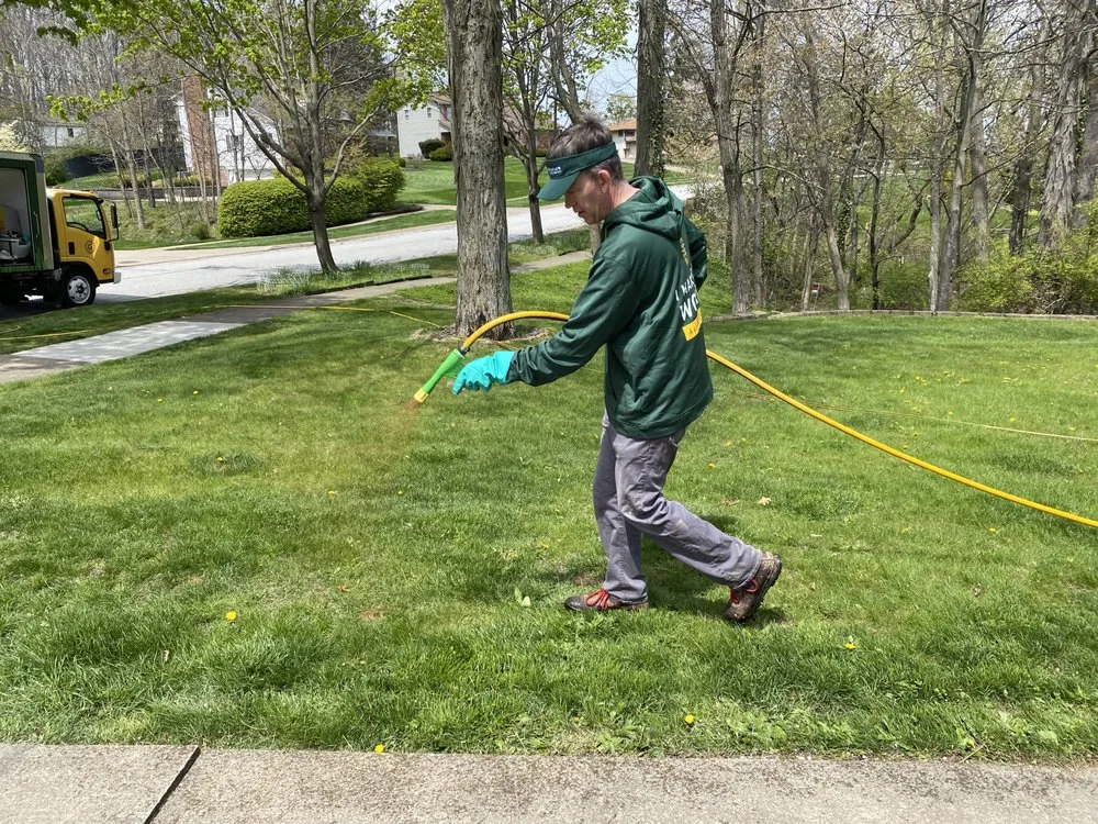 Custom landscape installation in Lombard, IL - Good Nature Organic Lawn Care