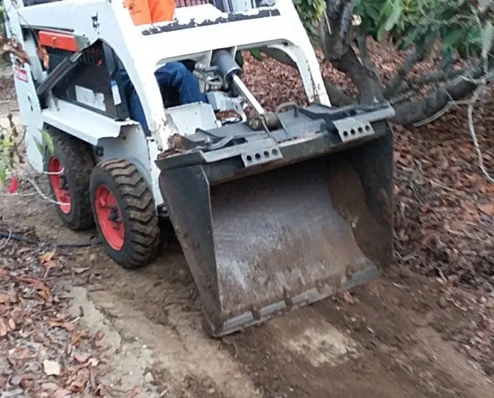 Top-rated landscape design for year-round maintenance in Oxnard, CA by Good Natured Plants