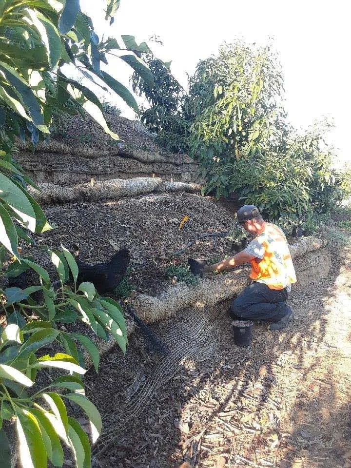 Professional yard maintenance in Oxnard, CA by Good Natured Plants