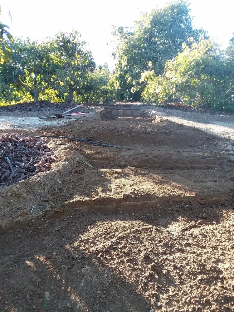 Trusted landscape design near you across Oxnard, CA - Good Natured Plants