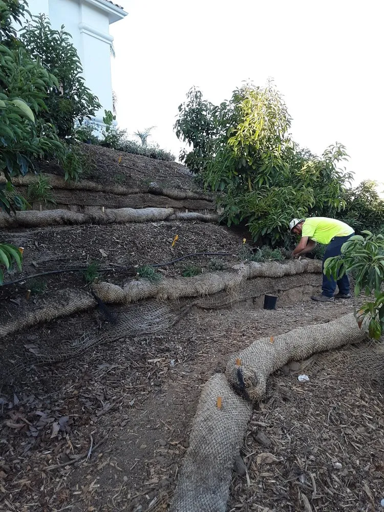 Affordable yard maintenance with custom design in Oxnard, CA by Good Natured Plants