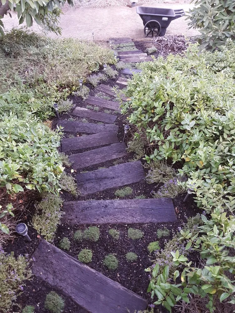 Professional garden landscaping in Oxnard, CA by Good Natured Plants