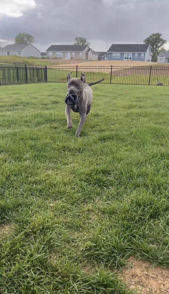 Professional landscape installation in Neenah, WI by Good Neighbor Home Services