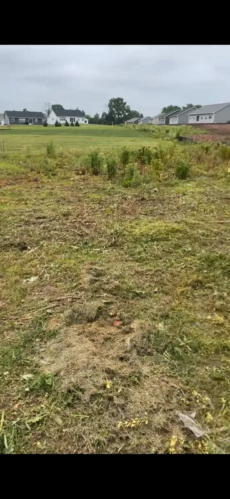 Custom lawn mowing service near you across Neenah, WI - Good Neighbor Home Services