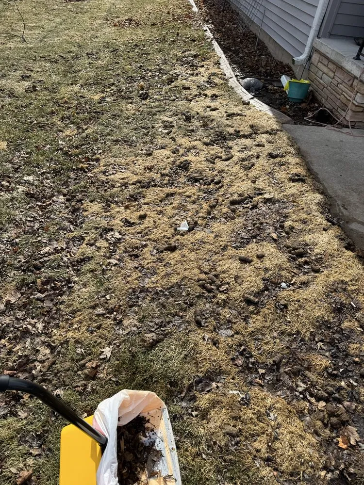 Custom outdoor landscaping in Neenah, WI by Good Neighbor Home Services