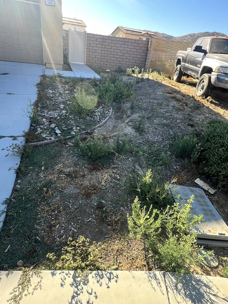 Local yard cleanup service experts serving Temecula, CA - Good Neighbor Landscaping Services