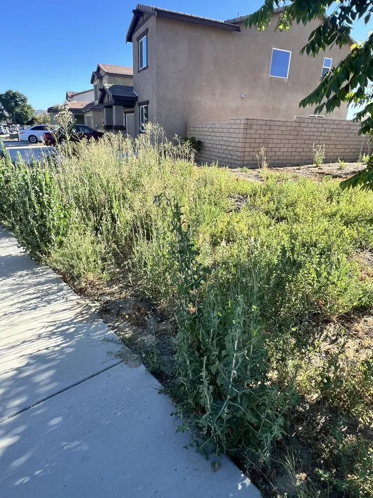 Expert landscape design in Temecula, CA - Good Neighbor Landscaping Services