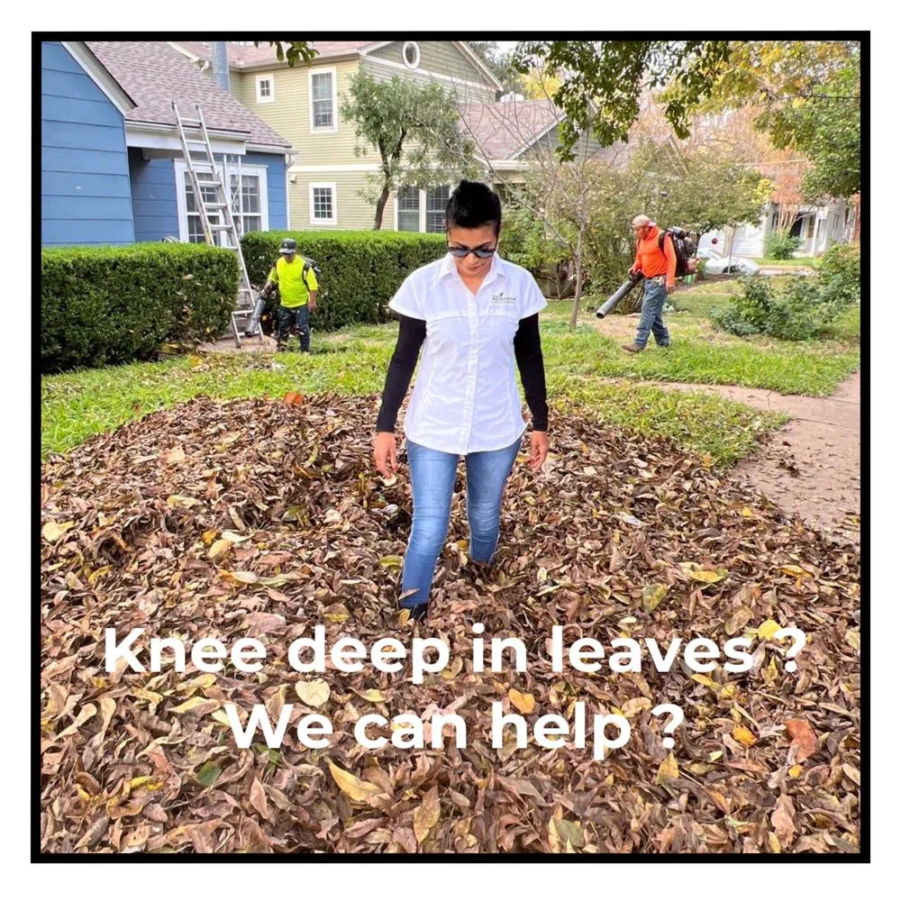 Affordable yard cleanup service for beautiful yards in Austin, TX by Good Neighbor Lawn & Landscaping