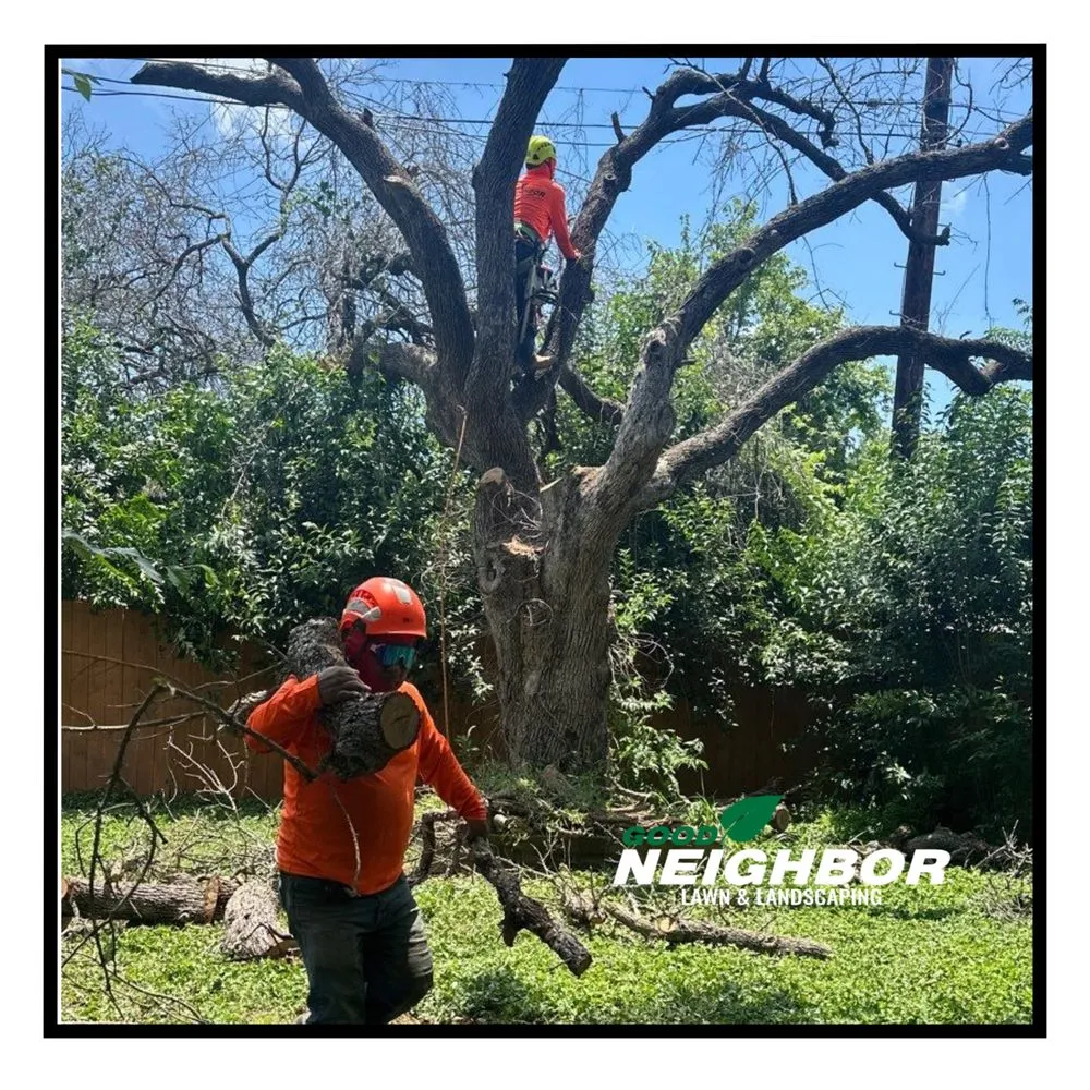 Local lawn care service for beautiful yards across Austin, TX - Good Neighbor Lawn & Landscaping