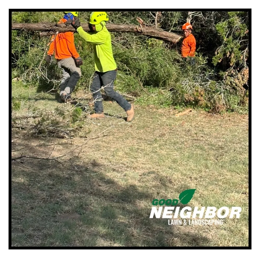 Local outdoor landscaping in Austin, TX - Good Neighbor Lawn & Landscaping