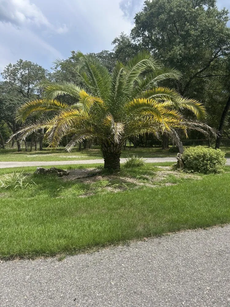 Reliable lawn care service experts serving Summerfield, FL - Good Neighbor Lawn Care