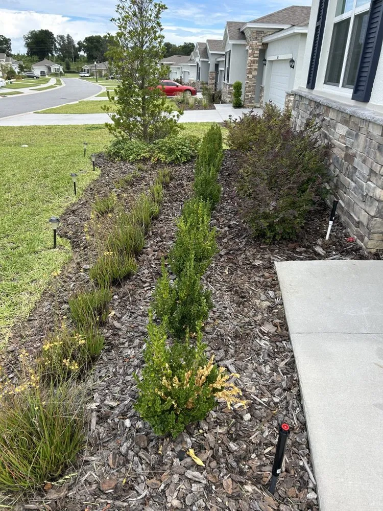 Custom residential landscaping in Summerfield, FL by Good Neighbor Lawn Care