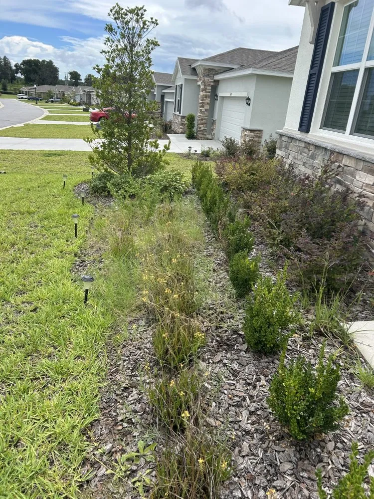 Reliable landscape installation for residential properties in Summerfield, FL by Good Neighbor Lawn Care
