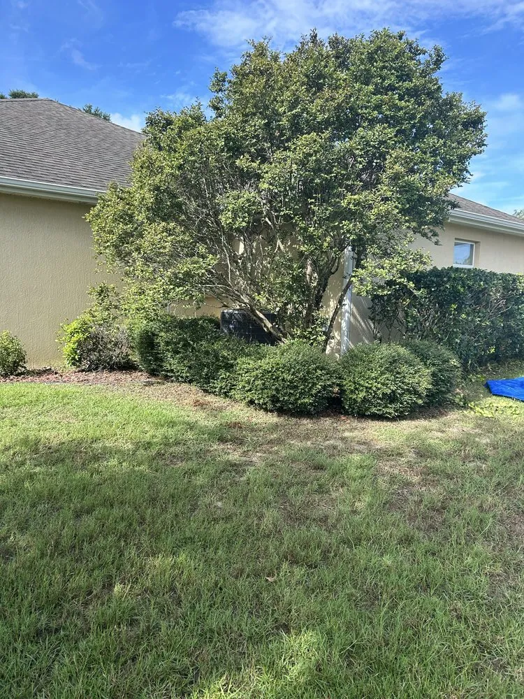 Top-rated residential landscaping in Summerfield, FL by Good Neighbor Lawn Care